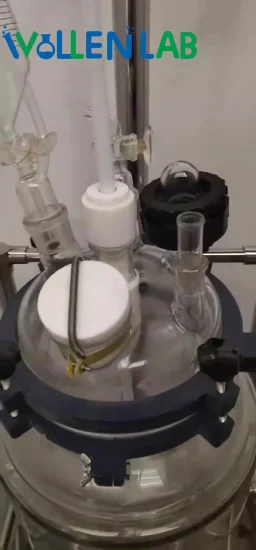 중국산 Gr-5 5L 광화학 반응 주전자 유리 반응기