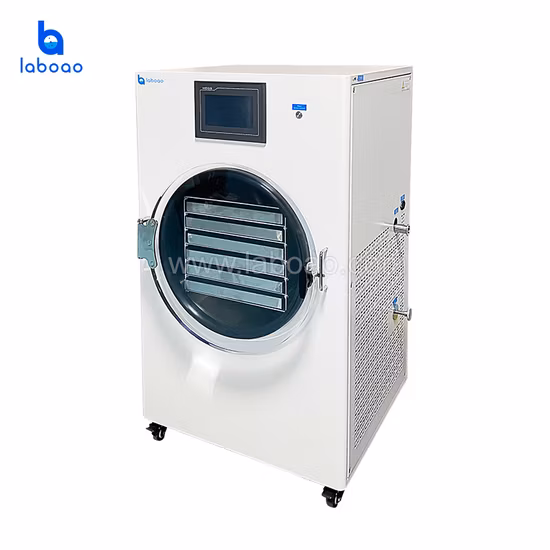 Labaoao 미니 소형 가정 식품 진공 동결 건조기 동결 건조기 장비